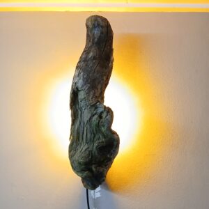 Landelijke wandlamp van drijfhout
